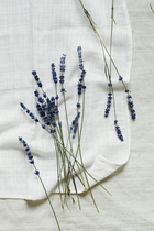 White Lavender Diffuser Refill
